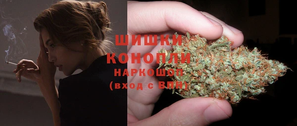 ГАЛЛЮЦИНОГЕННЫЕ ГРИБЫ Абаза