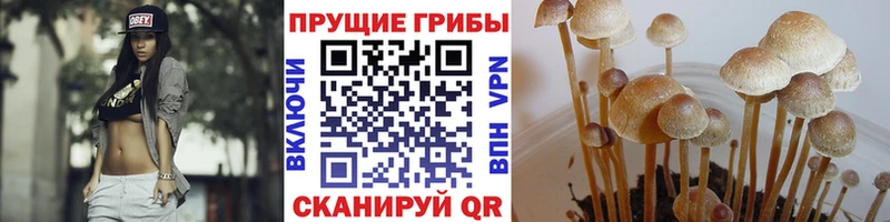 Галлюциногенные грибы ЛСД  Гагарин 